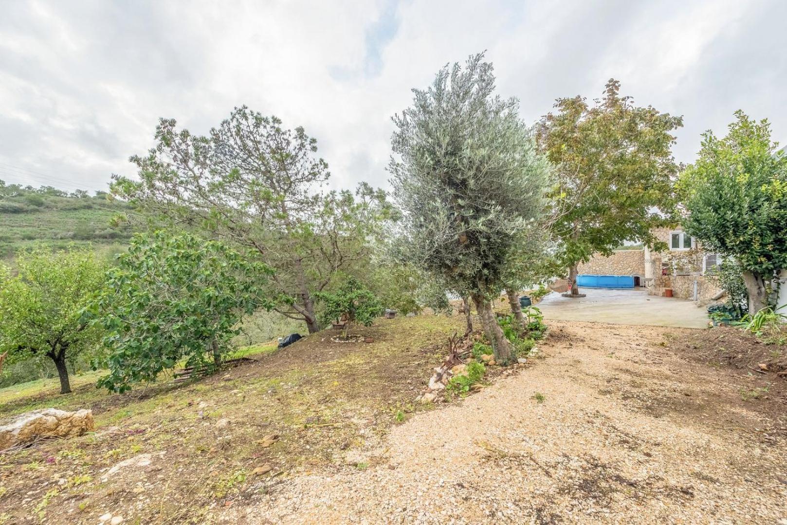 Countryside Paradise In Bucelas Exterior foto